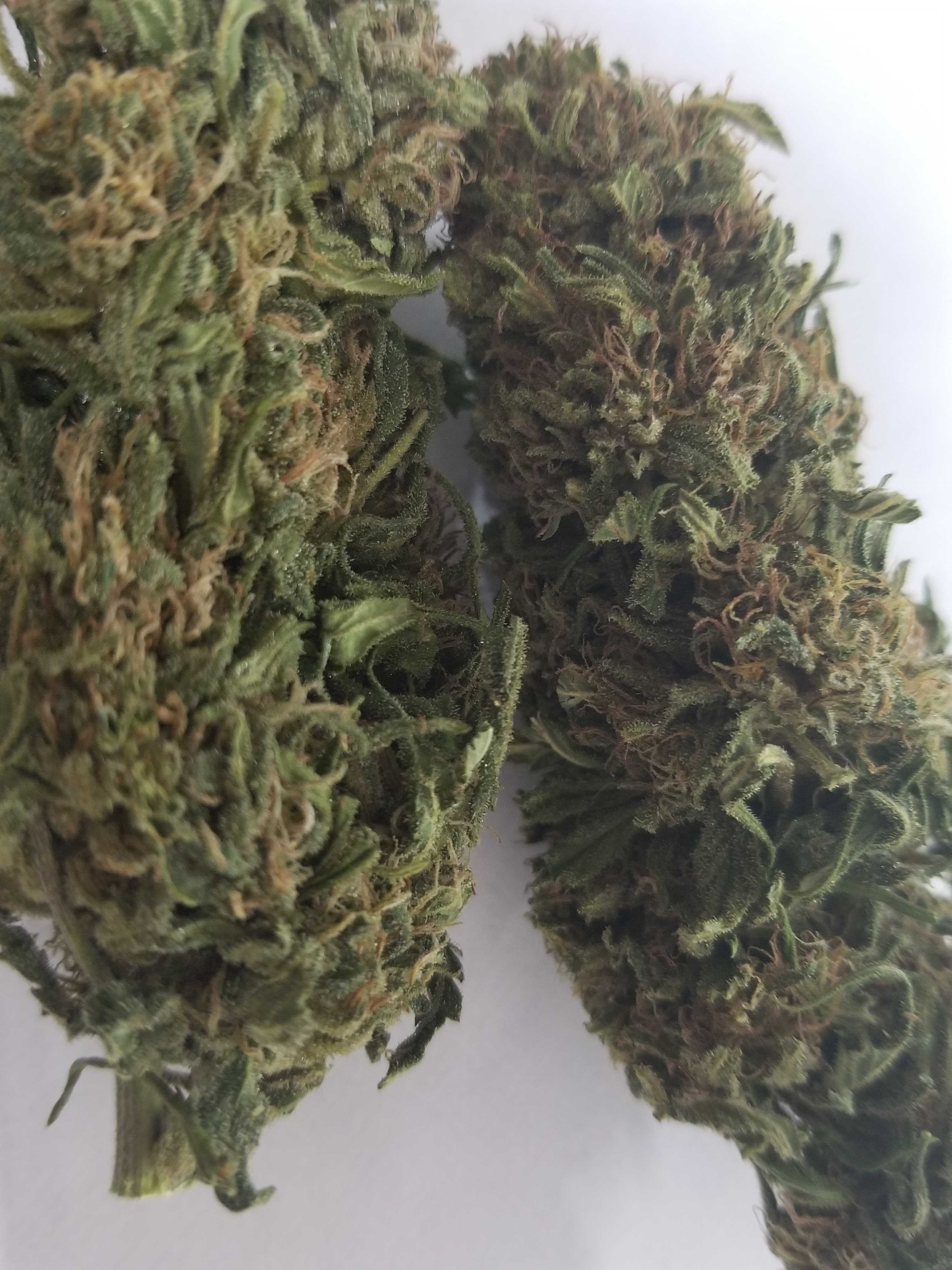 2019 New Harvest Hand Trimmed Lifter Flower Blog
