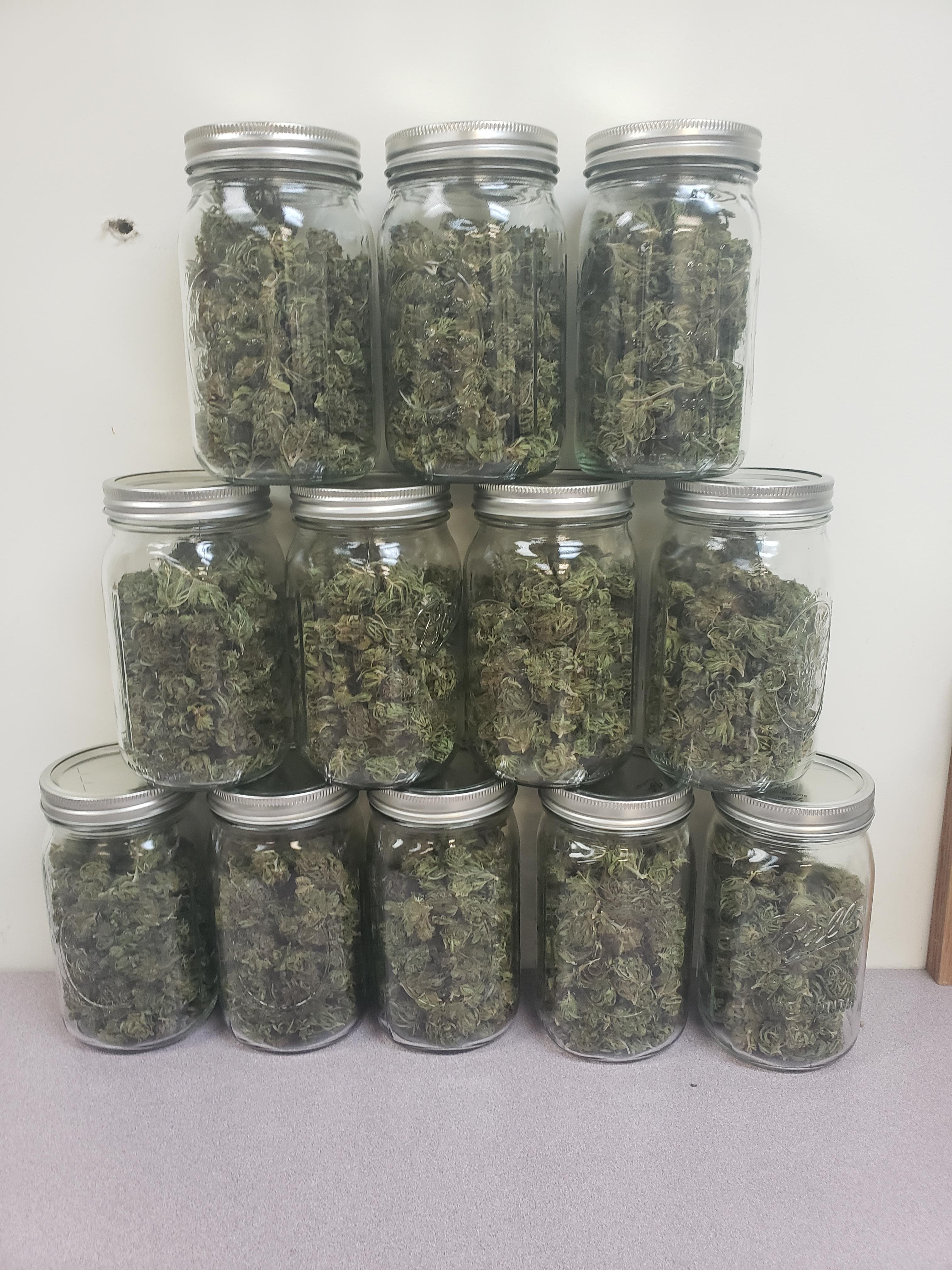 Smokeable Cherry Blossom Machine Trimmed Flower Blog