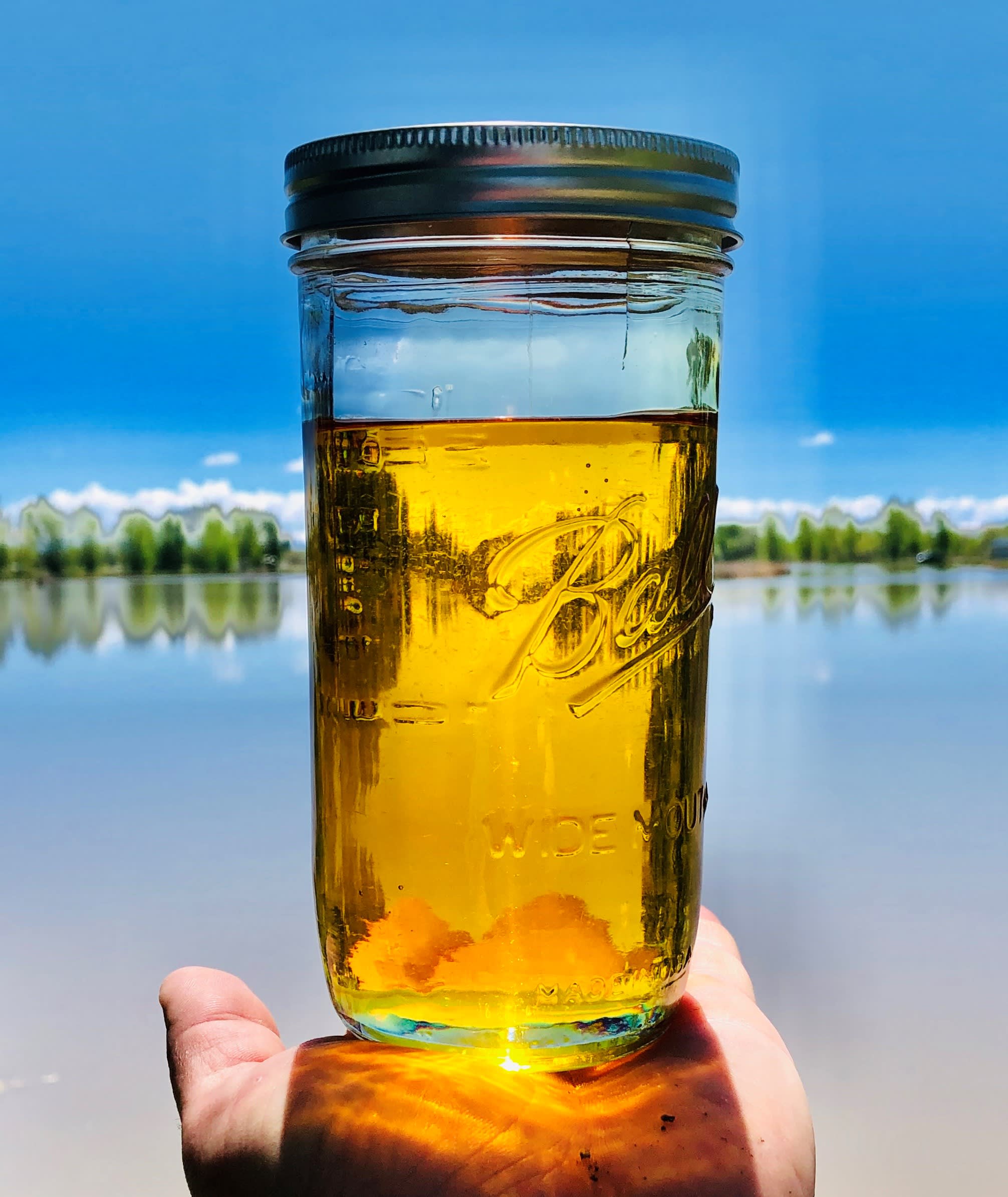 92+ Full Spectrum Distillate Blog