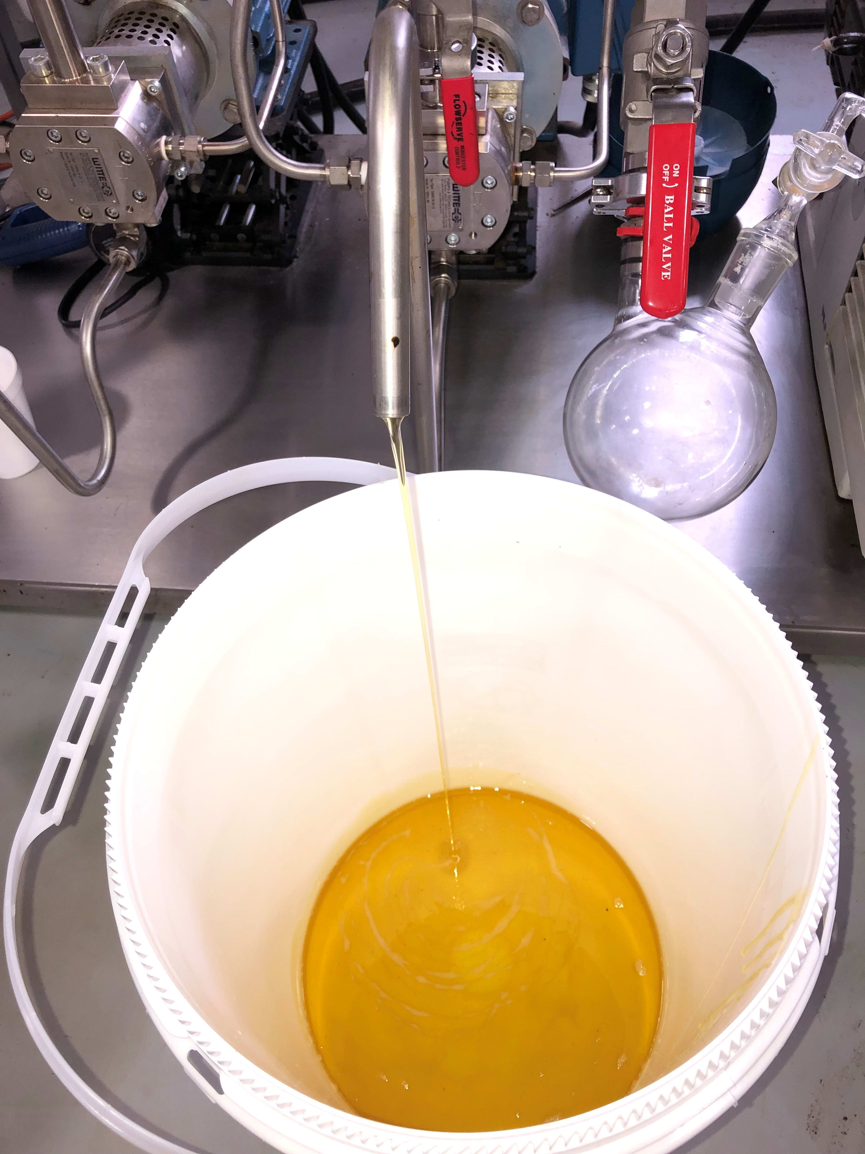 Full Spectrum CBD Distillate Blog