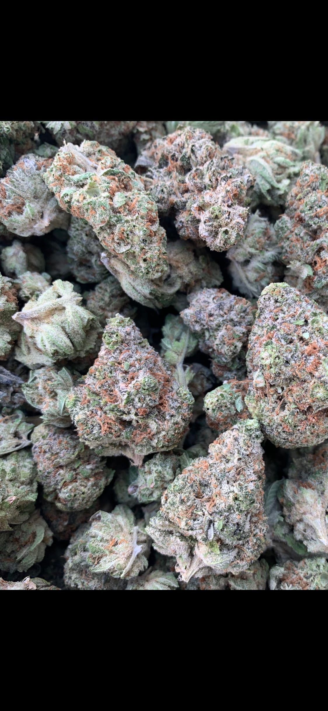 Strawberry Lemonade Trimmed Bud Blog