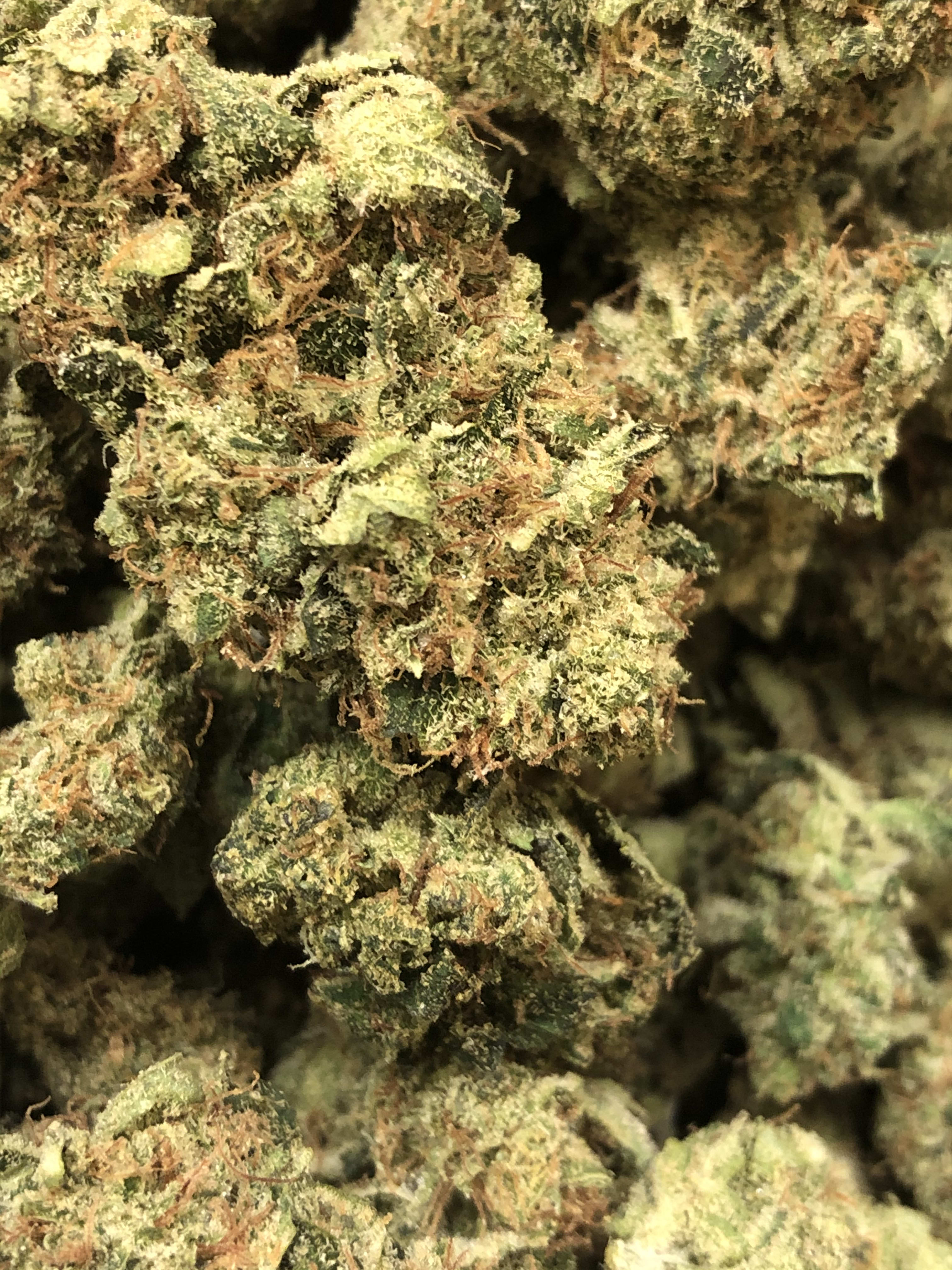 Super Silver Haze Untested Indoor Flower Blog
