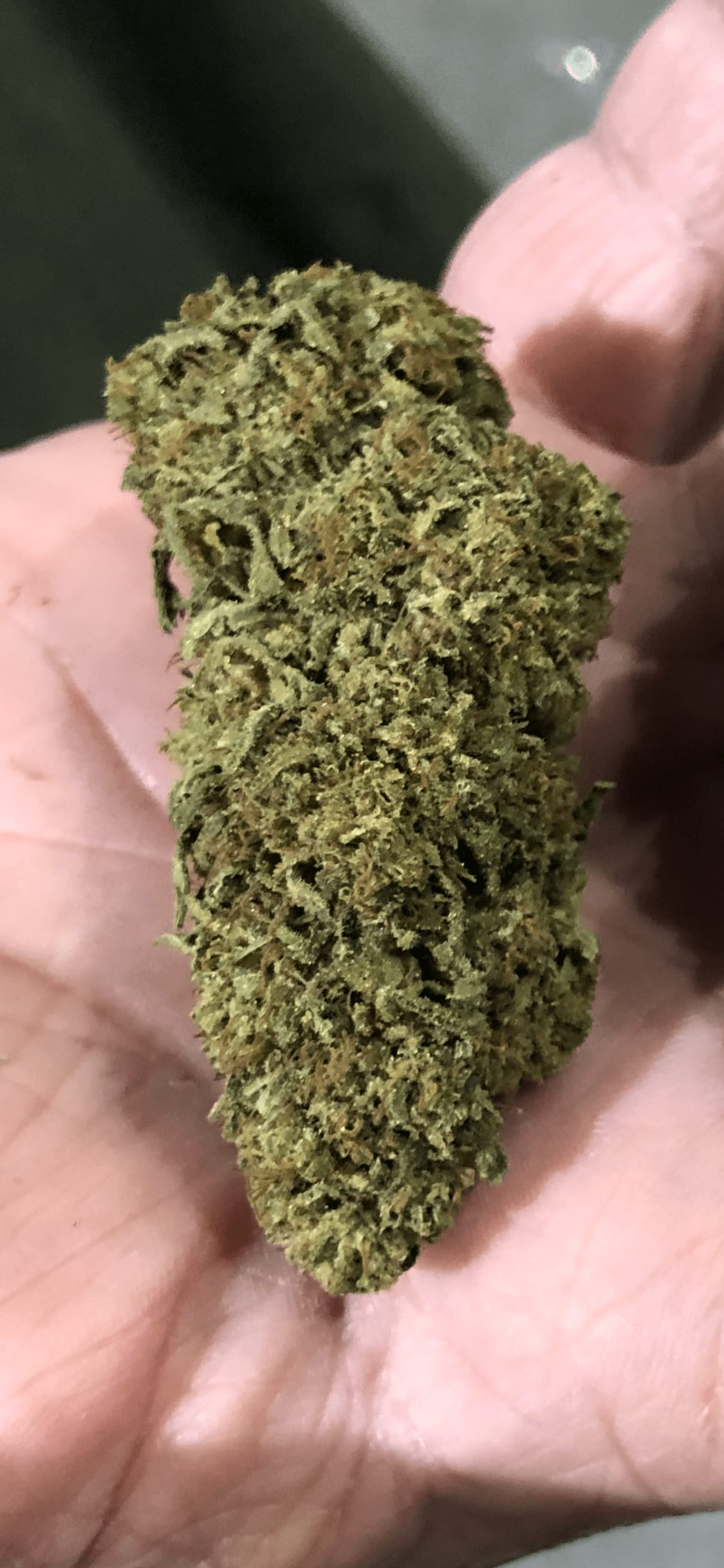 Frosted Lime California Grown Flower | Kush.com Blog