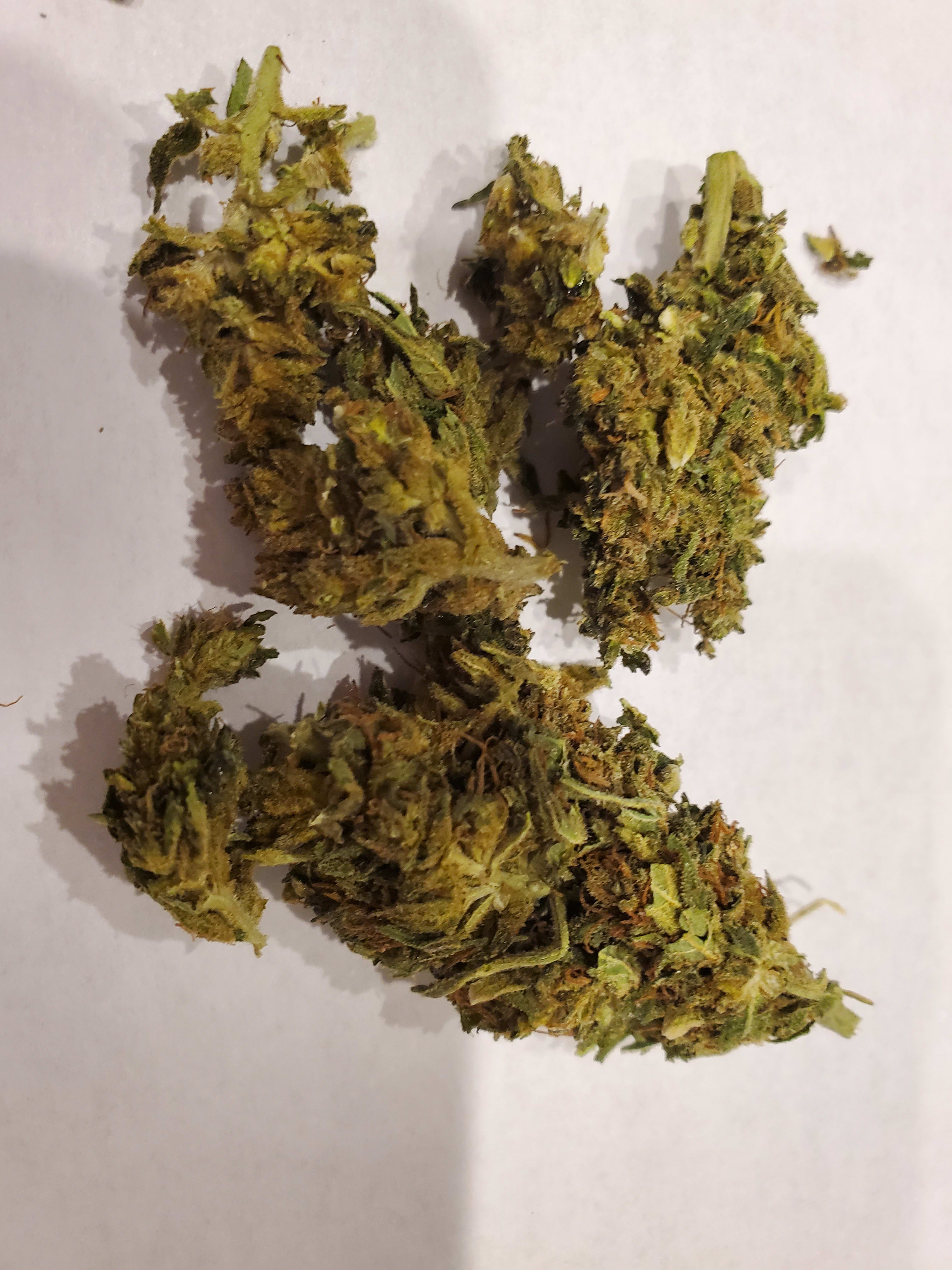 Delta 8 Infused Flower Blog