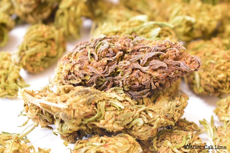 California Frosted Lime Blog