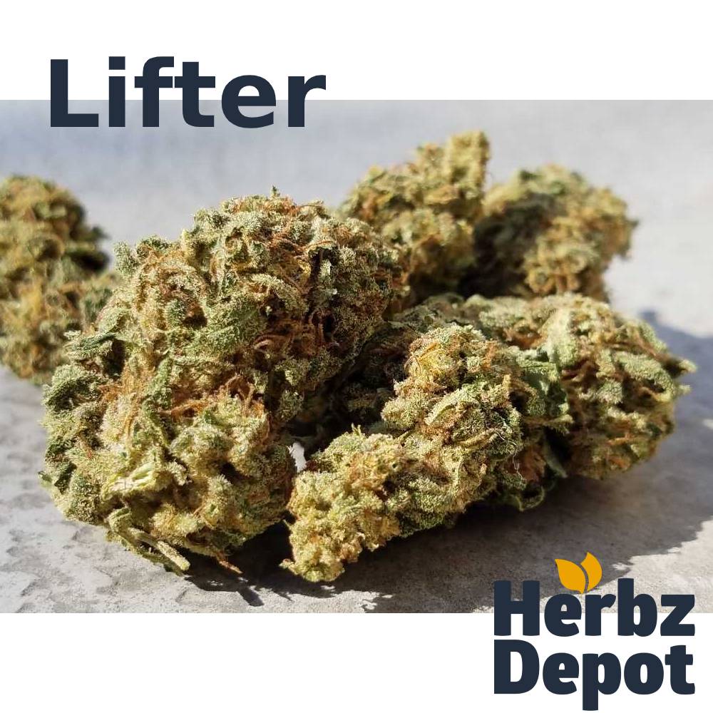 2020 Lifter Flower Blog