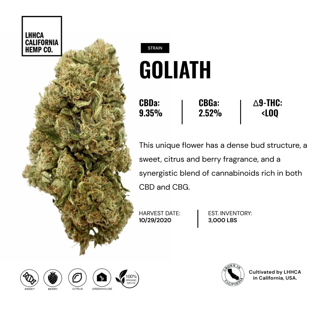 Goliath | Kush.com Blog