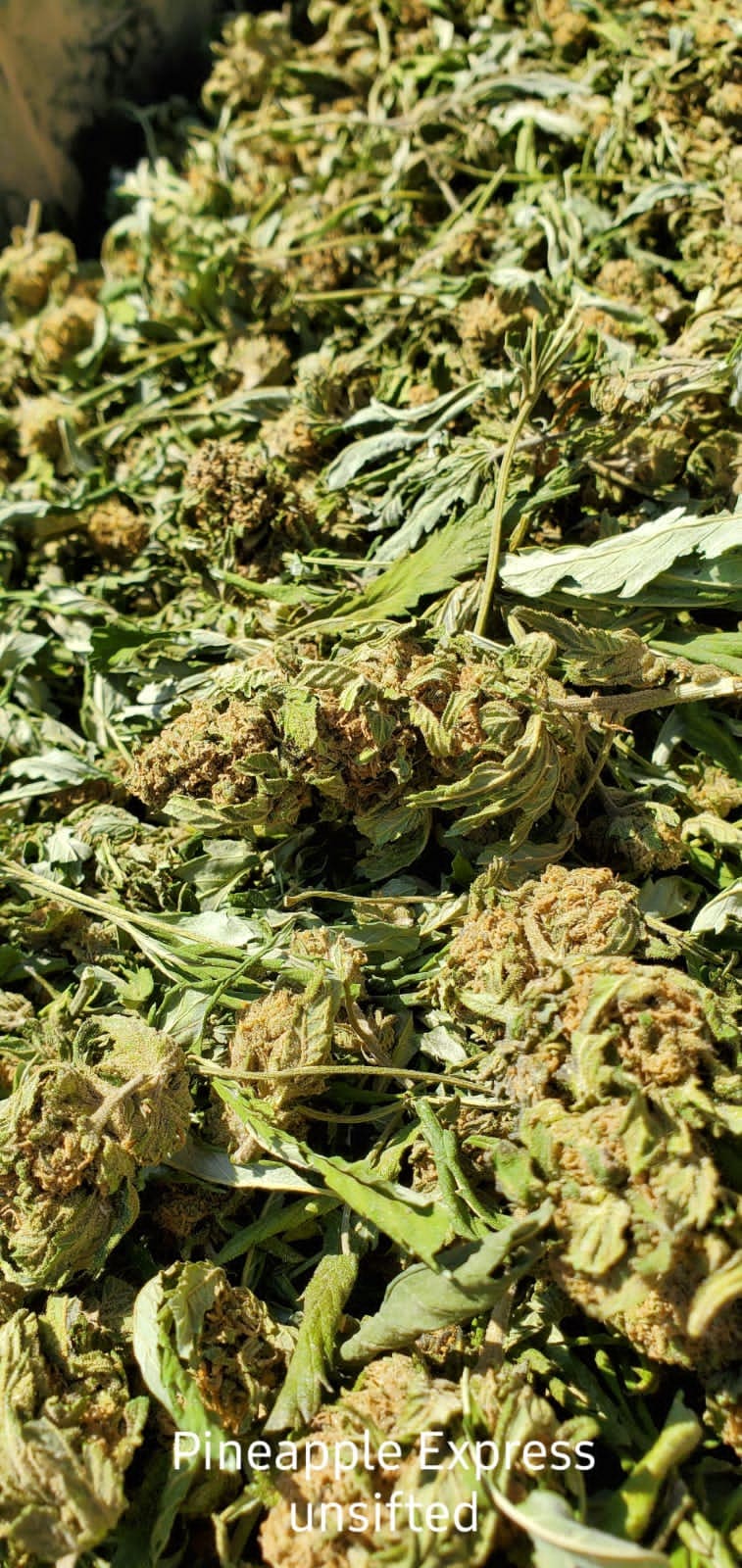 Untrimmed Flower Pineapple Express Blog