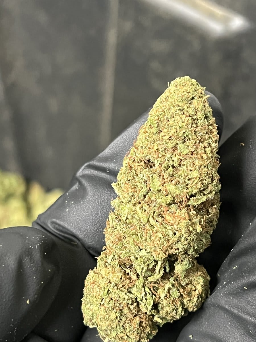 150 LB Frosted Lime Hemp Flower Blog