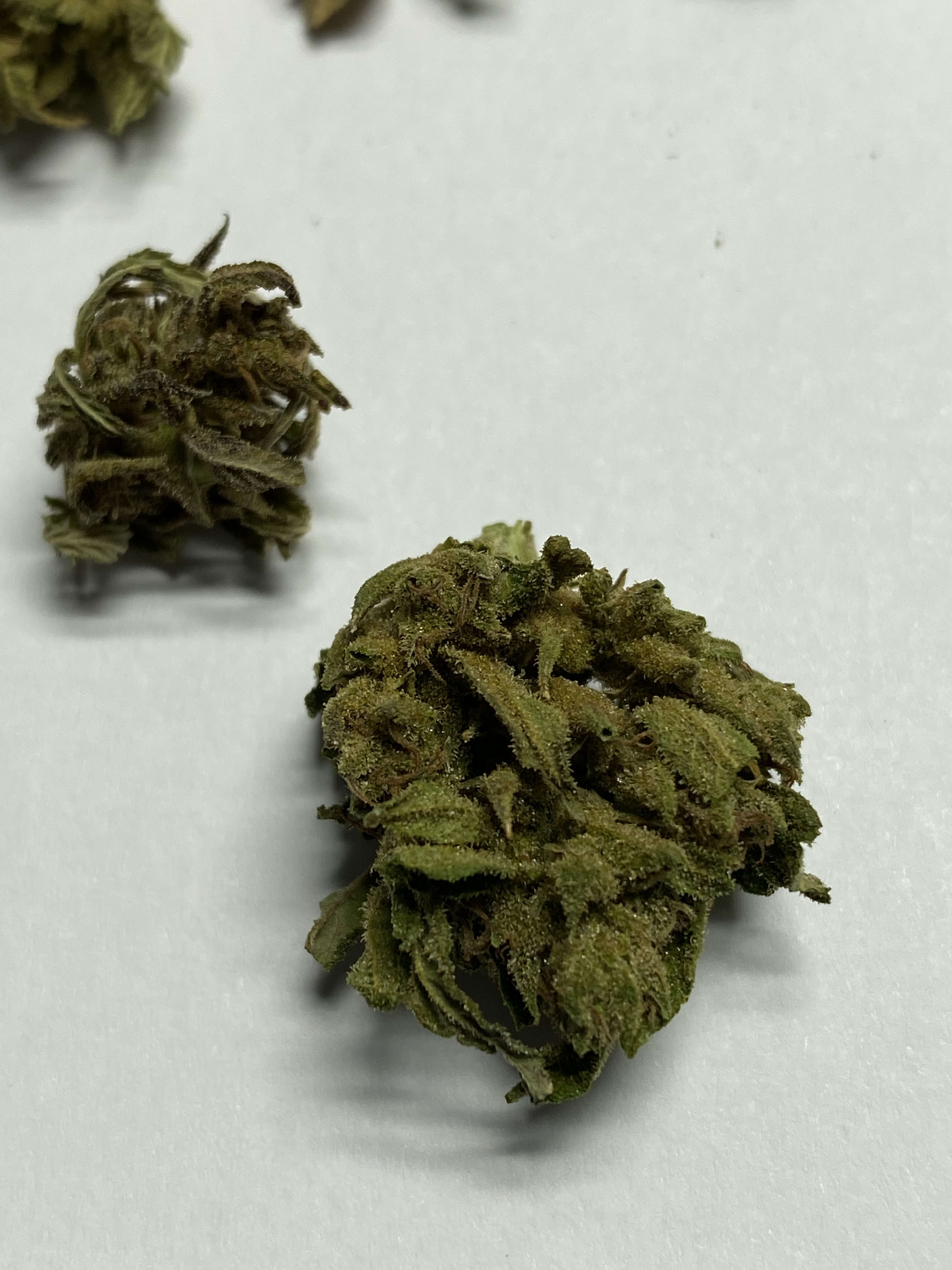 Cherry Blossom Popcorn Blog