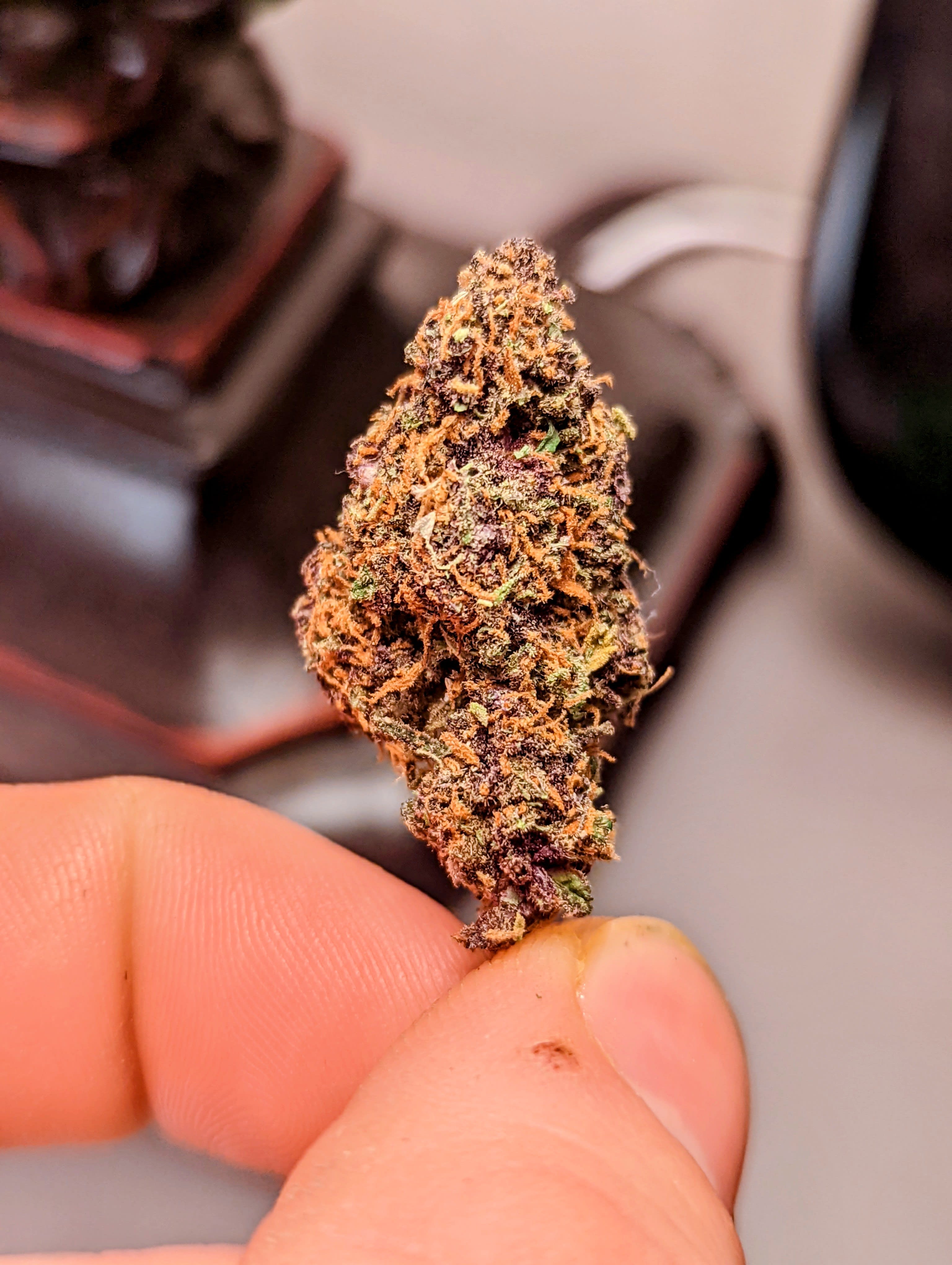 KASMIRE DELTA 8 THC ZAZA EXOTIC 28 gram sample pack Blog