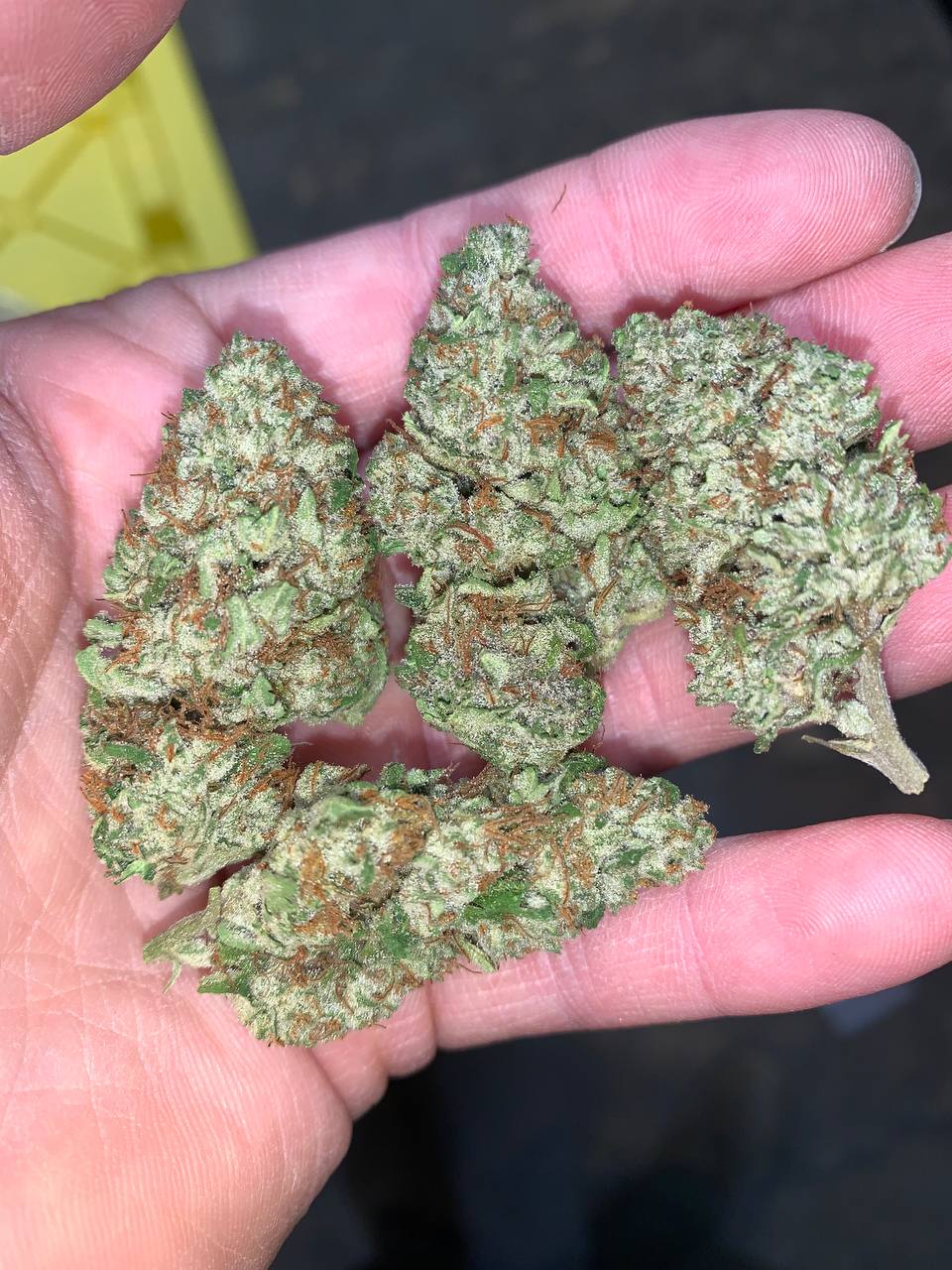 Wholesale flower and Cryo infusion service Blog