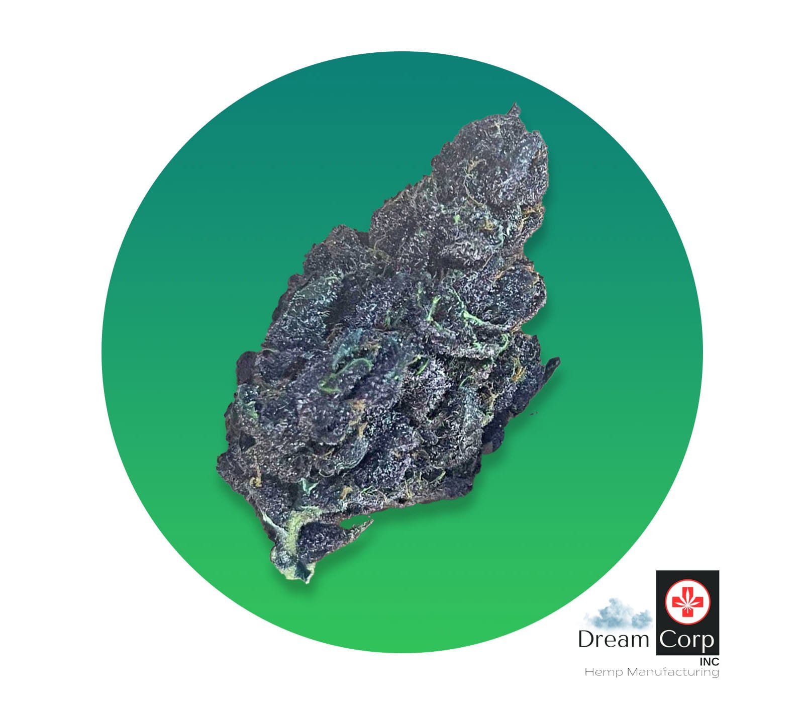 The Budding Report Episode 101 Blog