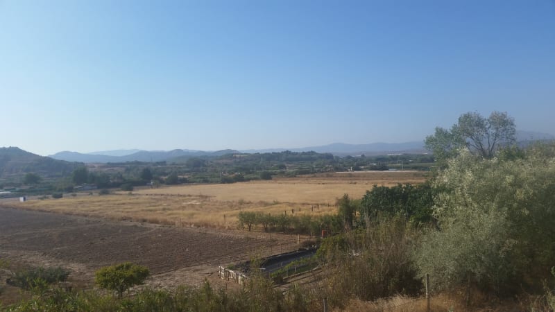 The vineyards and mountains.