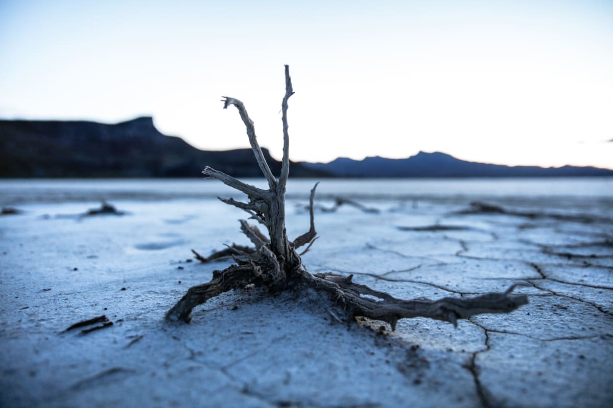 patrick-hendry-258316-unsplash