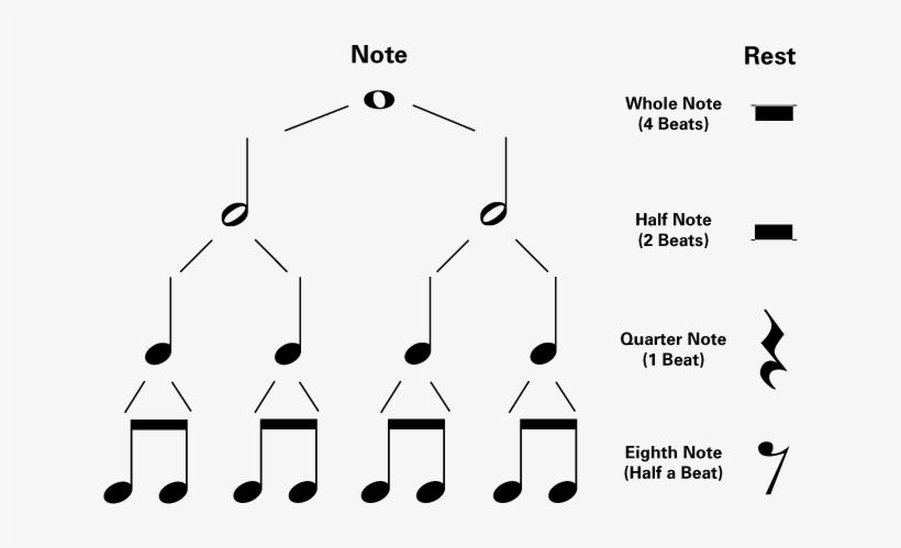 How To Read Rhytms In Music | The Online Metronome