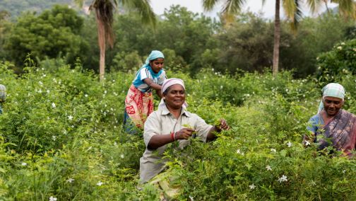 Quality is not just a buzzword