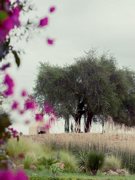 V takmer zabudnutom cípe juhozápadného Maroka získava Weleda divoko pestovaný argán. 