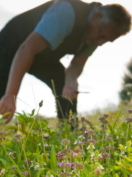 Stále je ale čo sa učiť.