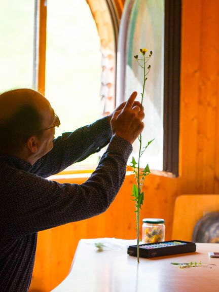 Práca s prírodou a učenie sa je  ústredným bodom všetkého, čo Weleda robí. 