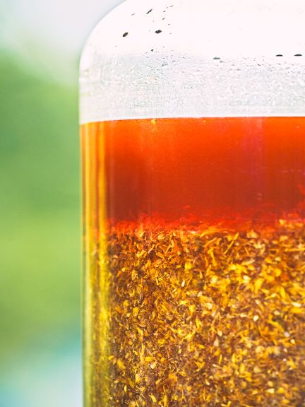 Príroda je neuveriteľná - zázrak, učiteľ, liečiteľ, matka, stvoriteľ a hrdina.