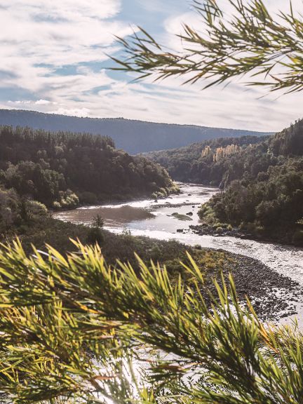 ale skvelý záhradník dokáže pracovať s prírodou a porozumieť jej.