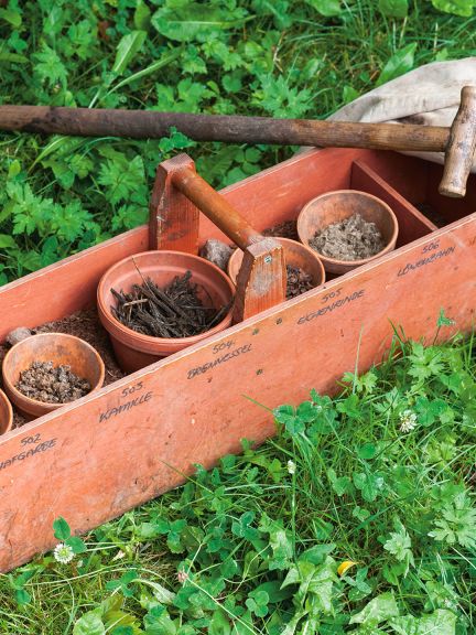 Jedná se o sdružení pro biodynamická semena léčivých rostlin.