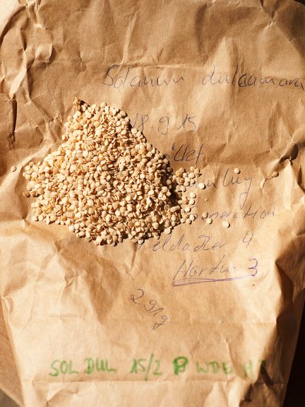 Všichni zemědělci se zavazují poskytovat své nejkvalitnější osivo ve prospěch skupiny a následně také získávat nejkvalitnější semena.