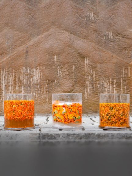 Pro zajištění nejlepší kvality je každý květ měsíčku sbírán ručně.