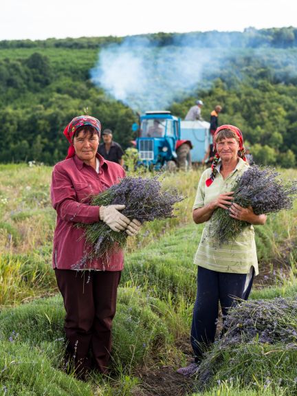 Ladies with lavender