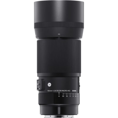 Sigma 105mm f/2.8 DG DN Macro Art Lens (L-Mount)