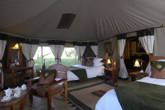 Luxury Tent - Queen Twin at Atua Enkop Africa - Elephant Bedroom Camp