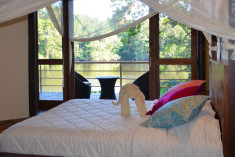 Scenic Suite at La Selva Amazon Ecolodge & Spa