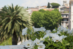 Junior Suite with Terrace at Terrazza Marco Antonio Luxury Suite 