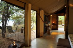 Deluxe Tent at Changa Safari Camp