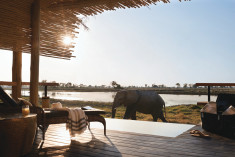 Deluxe Tented Rooms at Belmond Eagle Island Lodge