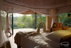 The Riverside Suites at Tongole Wilderness Lodge