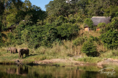 The Riverside Suites at Tongole Wilderness Lodge