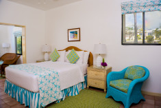 Mountain View Junior Suite - Queen Bed at The Mount Nevis Hotel