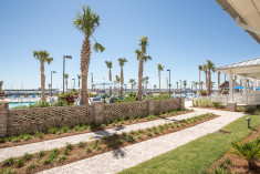 Patio Deluxe Room at Charleston Harbor Resort & Marina
