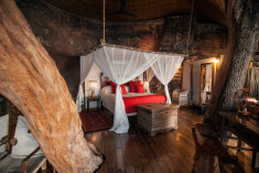 The Tree House at Tongabezi Lodge