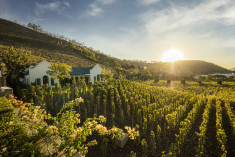 Vineyard Cottage - 2 bedroomed at Leeu Estates 