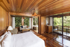 Forest Superior Room at Hotel Belmar | Small Distinctive Hotels Member