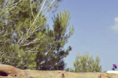 Master Suite DeLuxe at Can Vistabella Boutique Resort - Ibiza