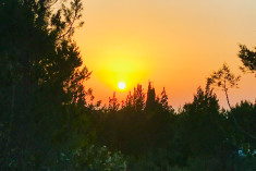 Double Room DeLuxe at Can Vistabella Boutique Resort - Ibiza