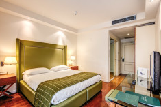 Superior Double/Twin at Demidoff Country Resort****
