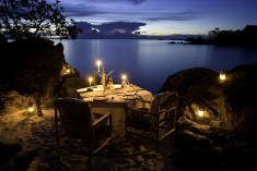 Nkwazi at Nkwichi Lodge