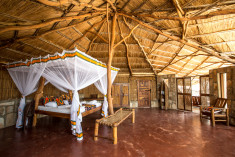 Nkwazi at Nkwichi Lodge