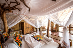 Nkwazi at Nkwichi Lodge