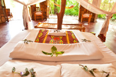 Nkwazi at Nkwichi Lodge